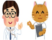医者と猫　イメージ